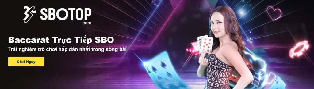 banner sbotop